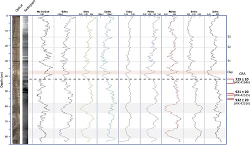 Figure 8. Micro-XRF core scanning data for core TC-06A. All elemental data is normalised to incoherent scattering (inc). Dashed line indicates depth below which sediments are deformed. Radiocarbon dates are shown as conventional radiocarbon age (CRA) with the associated lab identifier, and their calibrated range can be found in Table 1 as cal. yr BP at 2σ from the SHCal20 curve (Hogg et al. Citation2020) as produced in Calib8.2.