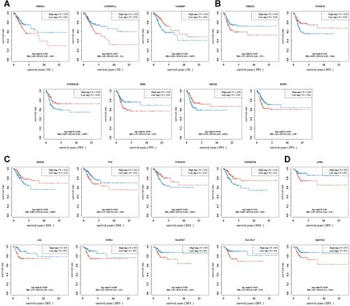 Figure 3 The prognostic significance of necroptosis-related gene in cervical cancer. Overall survival curve (A), progression free survival curve (B), disease specific survival curve (C) and disease-free survival curve (D) of cervical cancer patients with high/low expression of necroptosis-related gene.