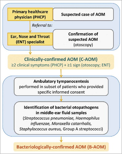 Figure 6. AOM surveillance and definition of clinically-confirmed AOM (C-AOM) and bacteriologically-confirmed AOM (B-AOM). AOM, acute otitis media.