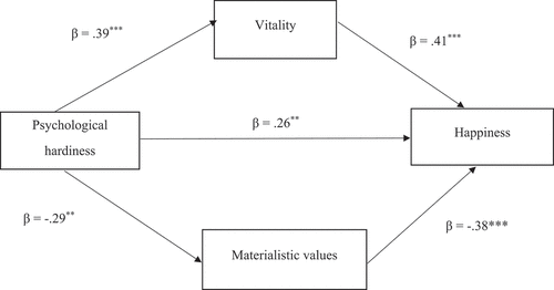 Figure 2. Research model with regression coefficients.