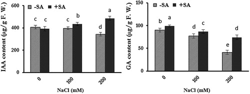 Figure 2. Effects of salinity and exogenous SA on content of auxin (IAA) and gibberellic acid (GA) in safflower plants at 21 days after the start of treatments. The groups are −SA (plants with no SA treatment) and +SA (plants sprayed with 1 mM SA every other day). Columns indicate mean ± SE.