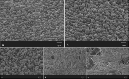 Figure 5. Tilt-view FE-SEM images of GaN NWs grown on Au-Si (111) at growth temperatures of (a) 800, (b) 850, (c) 900, (d) 950, and (e) 1000 °C. Figures reprinted with permission from Ref. [Citation117], Copyright © 2016, IOP Publishing, Ltd.