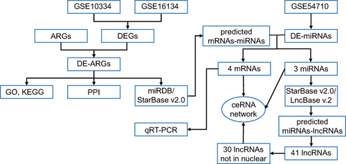 Figure 1 Study flowchart.