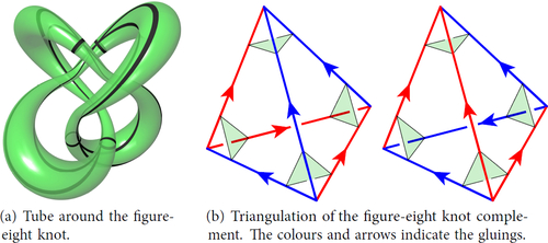 Fig. 2 The figure-eight knot complement. This manifold is known as Display full size in the SnapPy census. The black lines in Figure 2(a) cut the tube into triangles, corresponding to the eight green triangles in Figure 2(b).