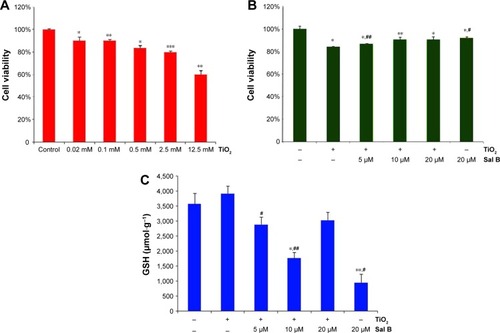 Figure 5 Cardioprotective effect of salvianolic acid B.Notes: *P<0.05, **P<0.01, ***P<0.001 compared to control group; #P<0.05, ##P<0.01 compared to TiO2 group. Data presented as means ± standard deviation (n=3). (A) Cell viability of H9c2 cells exposed to TiO2 nanoparticles; (B) cell viability of H9c2 cells under the protection of salvianolic acid B; (C) GSH levels of H9c2 cells under the protection of salvianolic acid B.Abbreviation: GSH, glutathione.