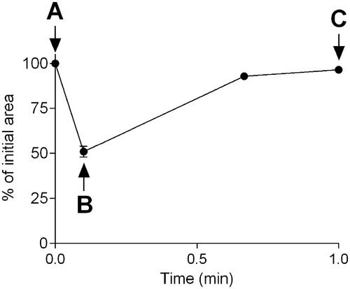 Figure 2. Illustration of the bronchoconstriction pattern following a single train rhythm induced by electric-field stimulation (EFS). to evaluate the response, the initial airway area is set to 100% prior to EFS (A). the maximum airway contraction is determined 6 s after the EFS-pulse (B) and the maximum airway relaxation is measured at time-point 60 s (C). Thereafter, the % of the initial airway are is determined for point B and C for each train rhythm throughout the experimental time.