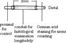 Figure 13 Section methods and site for conduit group.