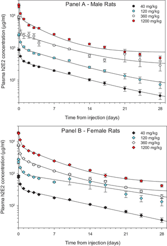 Figure 1. The pharmacokinetics of h2E2 mAb in male (Panel A) and female rats (Panel B).