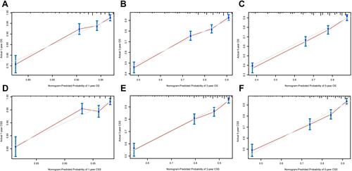 Figure 4 Calibration curves in the training cohort. (A–C) Calibration curves of the nomogram for predicting 1-, 3- and 5-year OS; (D–F) Calibration curves of the nomogram for predicting 1-, 3- and 5-year CSS.