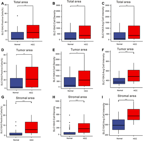 Figure 10 Comparison of expression of SLC10A3 at the protein level between normal liver tissues and HCC tissues. (A) total SLC10A3 positive cells (%), (B) total SLC10A3 cell density, (C) total SLC10A3 average cell intensity, (D) tumor SLC10A3 positive cells (%), (E) tumor SLC10A3 cell density, (F) tumor SLC10A3 average cell intensity, (G) stromal SLC10A3 positive cells (%), (H) stromal SLC10A3 cell density, (I) stromal SLC10A3 average cell intensity. *Stands for P<0.05, **Stands for P<0.01, ***Stands for P<0.0001.