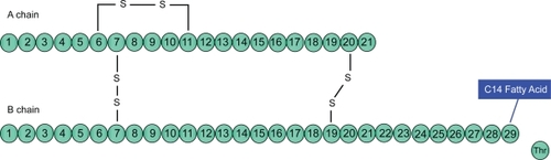 Figure 1 Insulin detemir.