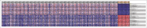 Figure 2. Heatmap of the top 100 differentially expressed TSGs between normal samples and tumor specimens. The horizontal axis were different samples, the gray ones were tumor samples while the yellow ones were normal specimens. The vertical axis was genes, which indicated that there was obvious difference among normal samples and tumor ones.