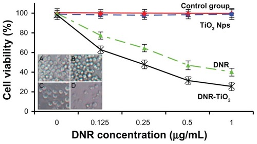 Figure 5 Cytotoxic effect of daunorubicin or daunorubicin-titanium dioxide nanocomposites on K562 leukemia cells. Microscopic images of K562 cells after different treatments for 48 hours are shown inset: (A) untreated cells as control, (B) titanium dioxide nanoparticles, (C) daunorubicin alone, and (D) daunorubicintitanium dioxide nanocomposites. Concentrations of daunorubicin and titanium dioxide nanoparticles are 1 μmol/L and 10 μg/mL, respectively.Note: Data expressed as mean ± standard deviation (n = 3).Abbreviations: DNR, daunorubicin; DNR-TiO2, daunorubicin-titanium dioxide nanocomposites; Nps, nanoparticles; TiO2, titanium dioxide.