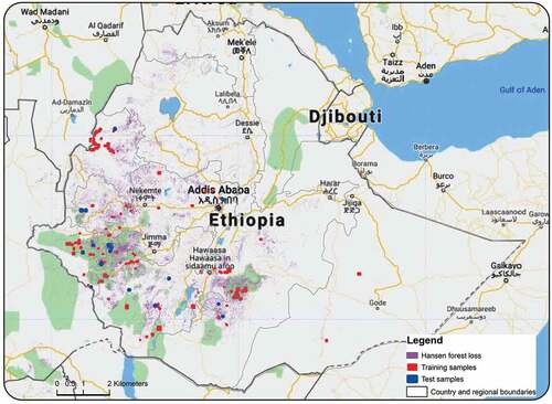 Figure 1. Map showing the spatial distribution of forest loss locations, training and test data across Ethiopia. The colors represent training and testing samples of one of the train-test split. The gray-lines are the boundaries of the study area, regions, and country.
