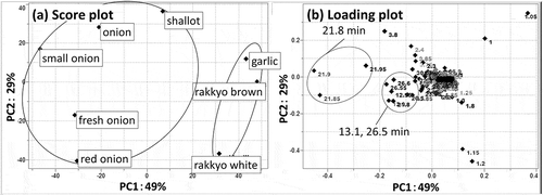 Figure 1. Principal component analysis score plot. (a) and loading plot. (b) of hot water extracts of peel from eight varieties of Allium cepa.Each point in the score plot is for a sample and each point in the loading plot is for a retention time. In the loading plot, some characteristic points are marked.