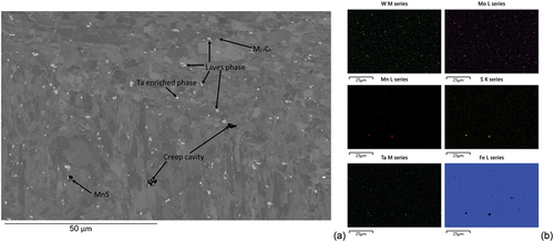 Figure 5. SEM-BSE micrograph and EDS maps of the creep ruptured CPJ7 sample; (a) BSE micrographs, (b) EDS maps.