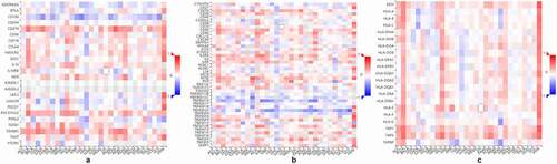 Figure 4. Association of PANX1 with immunomodulators. (a) Association of PANX1 expression with immuneinhibitors. (b) Association of immunostimulators with PANX1 expression (c) Correlation between MHC molecules and PANX1 expression. Red and blue cells show positive and negative correlations, respectively. The intensity of color is proportional to the strength of the correlation