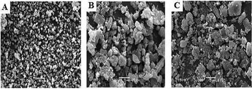 Figure 4. SEM images of Zn-MOFs (A), CUR-Zn-MOFs (B), and PDA-CUR-Zn-MOFs (C).