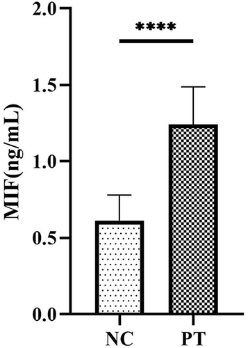 Figure 7 Serum level of MIF in NC and PT. (****P < 0.05).