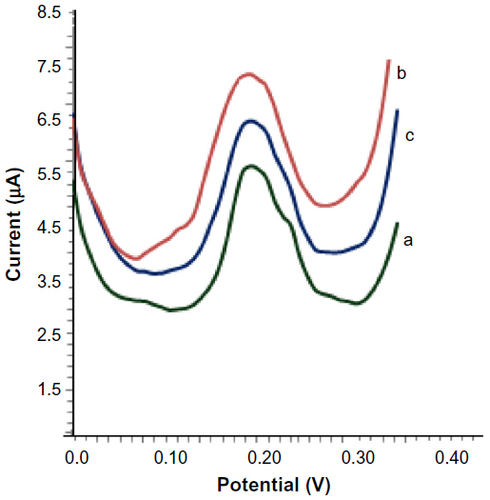 Figure 7 Selectivity of the biosensor. DPV response in 10 mM Tris–HCl buffer solution of pH 6.5 containing 5 mM [Fe(CN)6]−3/−4 after (a) GQDs-ssDNA, (b) hybridization with 10−10 M target DNA sequence, and (c) hybridization with one-base-mismatched DNA sequence.