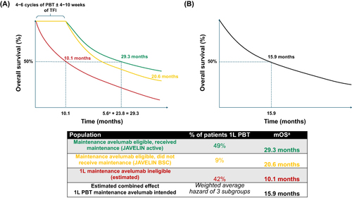 Figure 2 Estimated OS in 1L PBT maintenance–intended patients with aUC from initiation of 1L PBT. (A) OS in maintenance eligible, received maintenance from the JAVELIN active arm (green), OS in maintenance eligible, did not receive maintenance from the JAVELIN BSC arm (yellow), and the estimated OS in maintenance ineligible (red) were used to calculate (B) the combined OS in the 1L PBT–treated, maintenance-intended patient population (black) by calculating the weighted average hazard of the three subgroups.Citation4