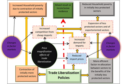 Figure 1. A synopsis of the effects of trade liberalization on poverty: a conceptual framework. Indirect link Direct link Source: Adapted from Aredo, Fekadu, & Kebede (Citation2011).