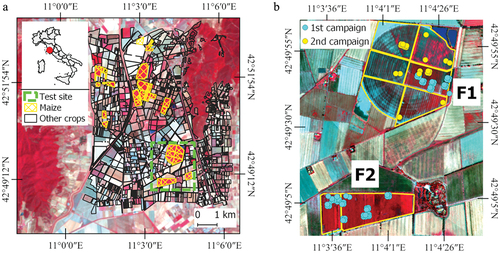 Figure 2. Study area and field measurements. Panel (a) shows the study area, field boundaries and maize cultivation (yellow-meshed colour) for 2020, 1 August 2020 PRISMA false colour image on the background. Panel (b) indicates the test fields showing the ESU of the first (light blue points) and second (yellow points) field campaigns, 31 July 2018 HyPlant-DUAL false colour image on the background.