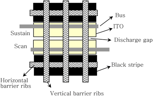 Figure 1. The overlapped image of the front and rear panel structures for a cell in a PDP.