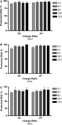 Figure 7.  Effect of cationic lipid/DNA charge ratio (+/-), N/P ratio and liposome formulation on the access of ethidium bromide to DNA associated with the PEI-complexes (2.0 KDa PEI) in the presence or absence of transferrin. PEI-complexes, containing 1 µg of DNA, were obtained from DOTAP:Chol liposomes (DC) associated with (A) or without (B) transferrin, or from DOTAP:CHEMS:DOPE:Chol liposomes containing OGP (CatpH-det) associated with transferrin (C), prepared by the ethanol injection method. Complexes were incubated with EtBr as described in Materials and methods. The amount of DNA available to interact with the probe was calculated by subtracting the values of residual fluorescence from those obtained for the samples and expressed as the percentage of the control. Control corresponds to the fluorescence of the probe in the presence of 1 µg DNA (100% of EtBr accessibility). The results correspond to the mean±SEM obtained from triplicates, and are representative of two independent experiments.