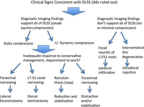 Figure 2 Suggested treatment algorithm for the management of degenerative lumbosacral stenosis in dogs pending a more evidence-based approach.