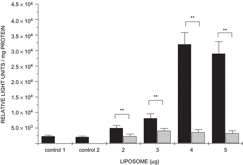 Figure 6.  Transfection assays. Cells were treated with modular lipoplexes containing pGL3 DNA (1 µg), streptavidin(bio2-AOM) (9 µg), and increasing amounts of biotinylated liposomes (2–5 µg in 1 µg increments). In competition assays incubation mixtures included asialofetuin (300 µg) (light grey bars). Control 1 contained only cells. Control 2 contained cells with naked plasmid DNA. Data are shown as means ± SD (n = 4). ** p < 0.01, Student’s t-test.