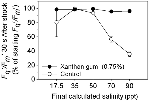 Figure 5. The initial percentage reduction in Fqʹ/Fmʹ in C. closterium cultures grown in 0% and 0.75% xanthan gum, 30 s after exposure to salinities of 17.5, 35, 50, 70 and 90 ppt (mean and SE, n = 5).