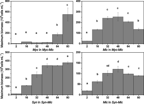 Figure 3. Maximum biomass of the cocultures of phytoplankton with varying N:P ratios. Myc = Mychonastes; Syn = Synechococcus; Mic = Microcystis; Myc (or Mic) in Myc-Mic = Mychonastes (or Microcystis) in the Mychonastes and Microcystis coculture group; and Syn-Mic = Synechococcus (or Microcystis) in the Synechococcus and Microcystis coculture group.