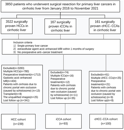 Figure 1 Flowchart of the study cohort.