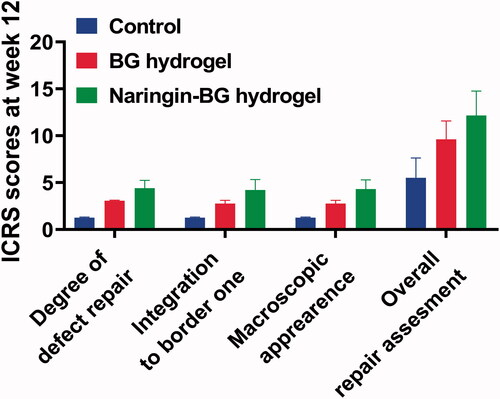 Figure 8. After 12 weeks ICRS surgery ratings for damaged tissues in the control group, BG hydrogel group, and Naringin–BG hydrogel group.