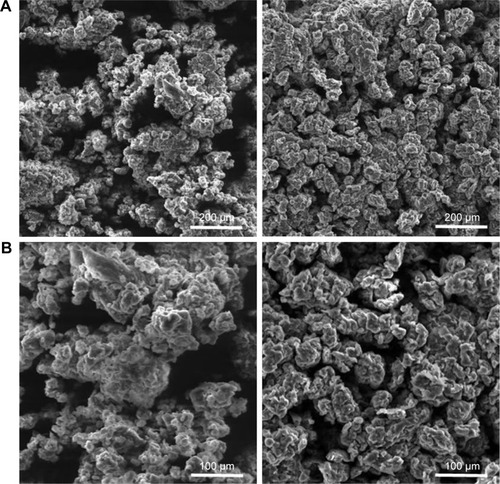 Figure 3 Scanning electron microscopy images of samples PU_0 (left) vs PU_1 (right).Note: Magnification: (A) 300× and (B) 600×.Abbreviation: PU, polyurethane.