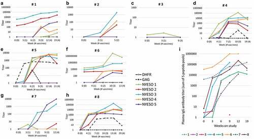 Figure 3. Serum Ab response to NY-ESO-1. Serum IgG Ab titers measured by ELISA are shown for all eight patients (1–8) in panels A-H, respectively. Each colored line represents the change in titers over time for each of the five NY-ESO-1 peptide pools (see legend), and negative control data are shown with solid or dotted black lines. Data are plotted on a log scale, with the range of Y-axis values varying from 1,000 to 1,000,000 among the patients, to illustrate fine details for each. Criteria for response are met by a titer >100 and increases of at least 4x if there is a preexisting response (as in A and F). Cumulative IgG response was calculated as the sum of the titers for all five peptide pools, and these are shown in panel I, with each line representing the cumulative titer over time for each patient. Note that the assays used plasma rather than serum for patient 6