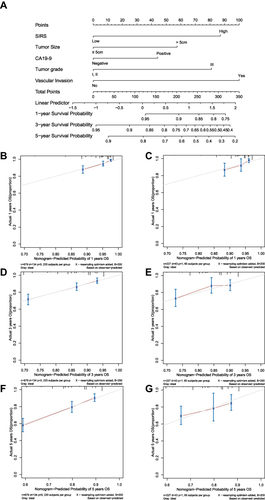 Figure 2 Nomogram predicting the overall survival for patients with hepatocellular carcinoma. (A). Nomogram for predicting OS of hepatocellular carcinoma patients after surgery. (B and C). Calibration plot of the nomogram for 1-year survival in the training cohort and validation cohort. (D and E). Calibration plot of the nomogram for 3-year survival in the training cohort and validation cohort. Calibration plot of the nomogram for 5-year survival in the training cohort and validation cohort. (F and G).