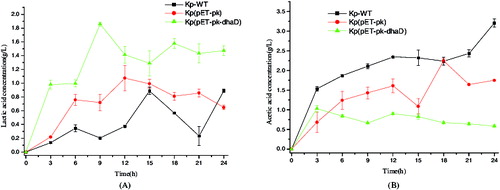 Figure 4. Byproducts produced by wild-type or recombinant Klebsiella pneumoniae. (A) Lactic acid production. (B) Acetic acid production. KP-WT: wild-type K. pneumoniae; Kp(pET-pk): the recombinant K. pneumoniae harbouring blank vector pET-pk; Kp(pET-pk-dhaD): the recombinant K. pneumoniae harbouring dhaD gene in vector pET-pk. The error bars represent standard deviation from three independent experiments.