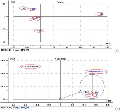 Figure 3. Scores plot (a) and loadings plot (b) for PC1 and PC2 of samples sonicated at different temperatures.Figura 3. Gráfico de resultados (a) y gráfico de cargas (b) para PC1 y PC2 de las muestras tratadas con ultrasonidos a diferentes temperaturas.