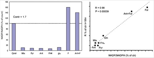 Figure 4. The central role of the NADP/NADPH ratio in the control of ascites cell recruitment into S. A. Effects of various factors on the NADP/NADPH ratio. F clearly shows an opposite effect respect to all the others substrates, resulting much higher even than the control. The stimulating effect of F removes almost completely the antimycin inhibition. The ratio was determined at 18 hours of incubation in air. Additions were performed at t = 0. Contr: control; Mtx. methotrexate; Pyr: pyruvate; Ant: antimycin; FH4 tetrahydrofolate.; glu: glutamine; F: folate; B. The correlation between AH130 cell recruitment into S and the NADP/NADPH ratio under various conditions. Correlation index, R = 0.98. #P < 0.05; ##P < 0.02; ###P < 0.001. Adapted from 25.