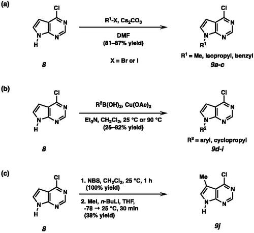 Scheme 1. (a) Synthesis of N-alkylated pyrrolopyrimidines under basic conditions. (b) Synthesis of N-aryl or N-cyclopropyl substituted pyrrolopyrimidines by Chan-Lam coupling. (c) Synthesis of 4-chloro-5-methyl pyrrolopyrimidine 9j.