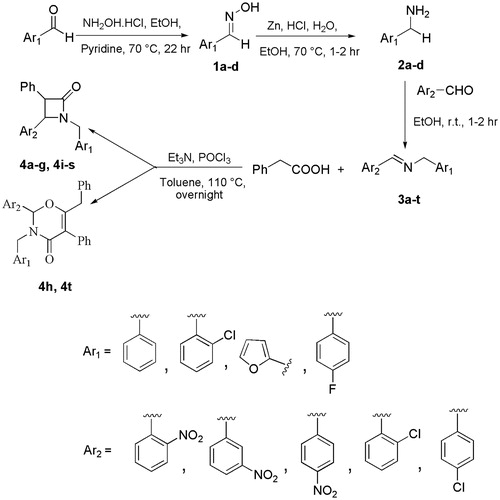 Scheme 1. Synthesis of monocyclic β-lactams and unexpected 1,3-oxazin-4-ones.