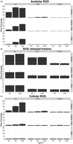 Figure 7. ROS formation. (a) ROS induced by Co CoO and Co3O4 NPs after 2 h of incubation at 37 °C in cell-free conditions in three different biological media; DMEM, DMEM +10%FBS (DMEM + FBS), and PBS. (b) ROS induced by the released fraction in the three different media prepared by centrifugation after 2 h of incubation. (c) ROS formation induced by the three NPs in A549 cell line.