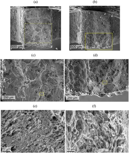 Figure 13. Fractography of DED produced AA7075 alloys under various magnifications without ultrasonic treatment (a,c,e) and with (b,d,f) ultrasonic treatment. Magnifications are: 35× (a,b), 100× (c,d), 1500× (e,f).