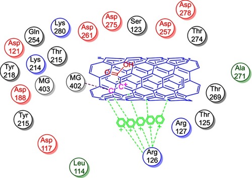 Figure 10 2D Lignad interaction of neat CNTs with the active site of 1UBY.Abbreviation: CNTs, carbon nanotubes.