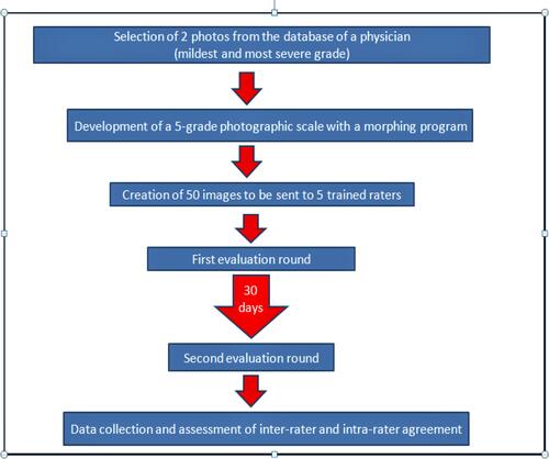 Figure 2 Algorithm of development and assessment of the IBSA inner arm laxity scale.