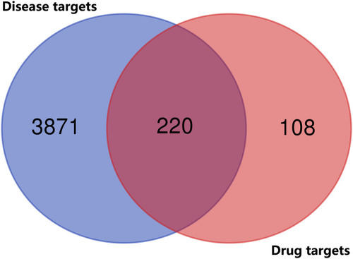 Figure 1 Intersection of RZP targets and OP-related targets.