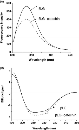 Figure 1. Spectroscopic analysis of the βLG–catechin complex. (A): intrinsic; (B) CD spectra.