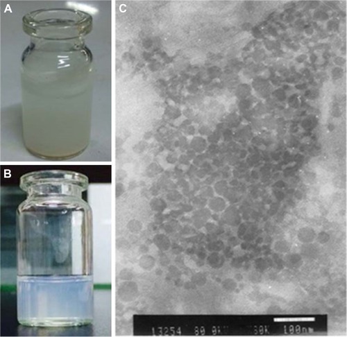 Figure 3 Images of free NRG in water (A), NRG-SLNs suspension (B), and NRG-SLNs suspension via TEM (C).